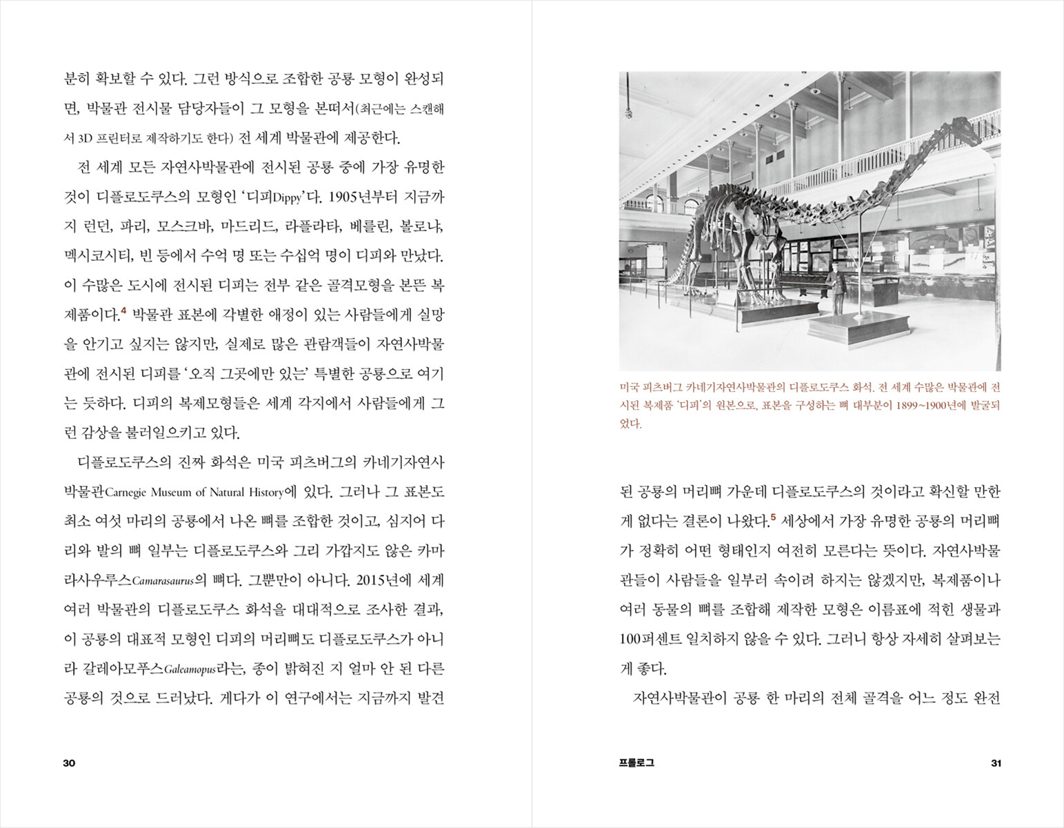 미리보기 10